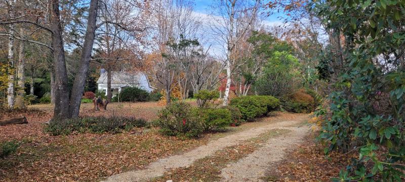 Commercial Property for Sale in Hogsback Eastern Cape